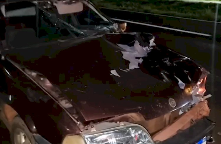 Quarto atropelamento no fim de semana termina com morte de idoso na BR-163, em Sede Alvorada