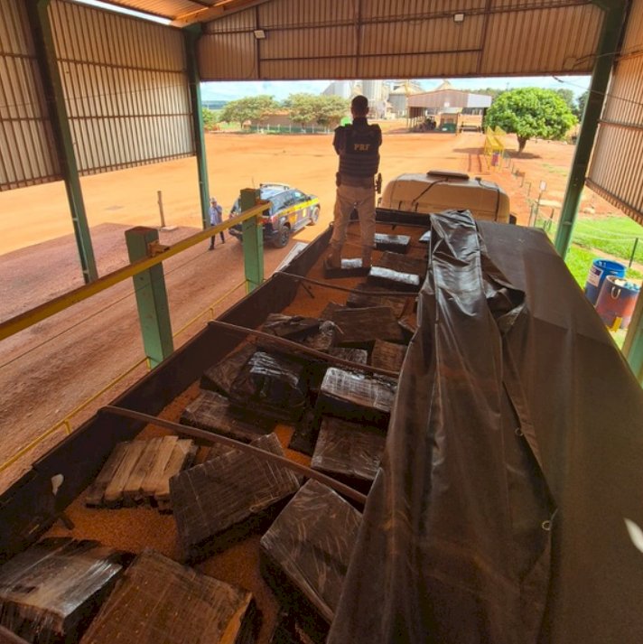 PRF apreende mais de 2,1 toneladas de maconha escondidas em carga de milho