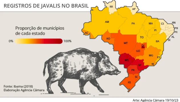 Agricultor morre após ataque de javali no Mato Grosso do Sul