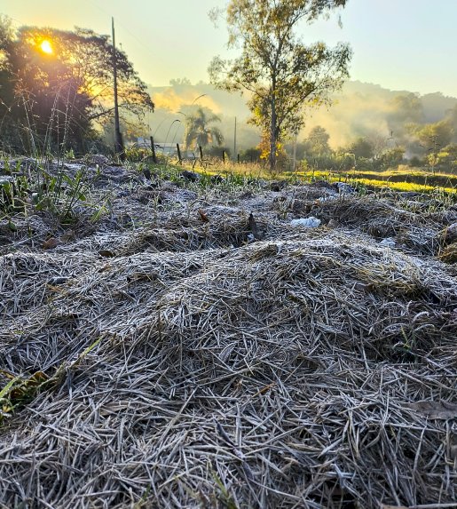 Paraná registra mais uma madrugada gelada com temperaturas abaixo de 5 °C, com geada fraca em Marechal Rondon