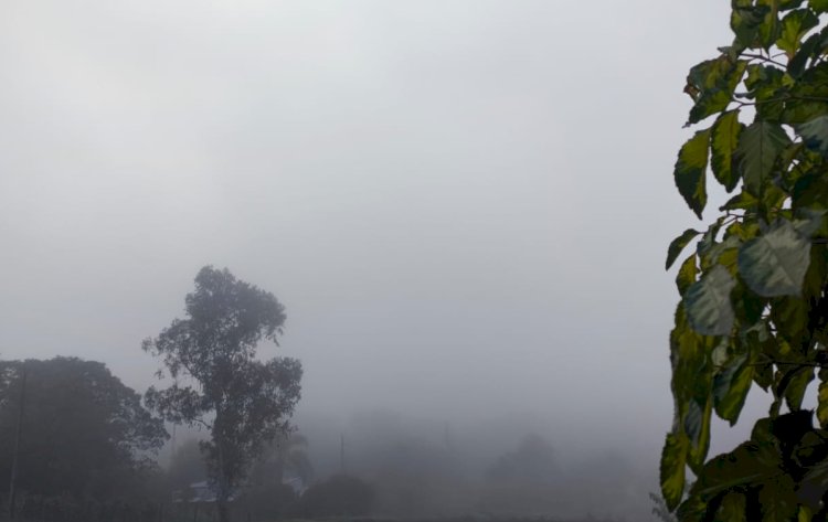 Neblina, Sol e  mais frio a noite  nesta quarta-feira  na região de  Marechal Cândido Rondon, com mínima de 7°C à noite