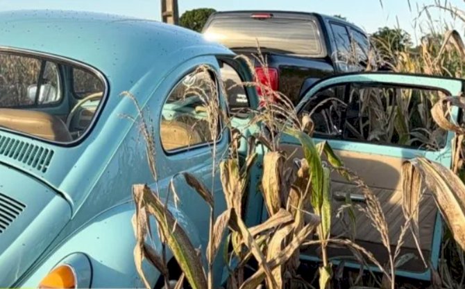 Polícia investiga tentativa de assassinato contra empresário encontrado ferido em plantação de milho em Santa Helena
