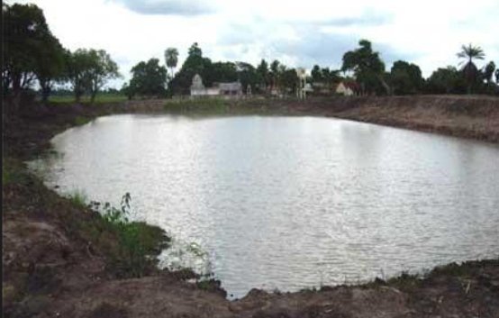 Ladrões furtam peixes de piscicultura na área rural de Toledo e fogem antes da chegada da polícia