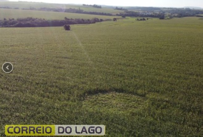 Círculo misterioso em lavoura de milho intriga moradores no interior de Santa Helena