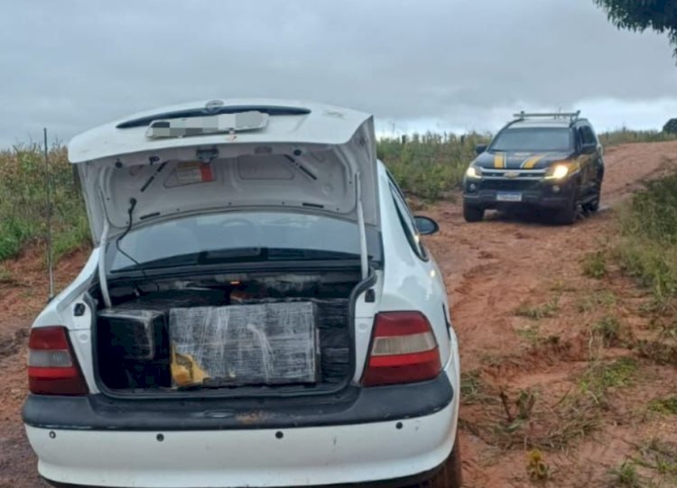 PRF apreende quase 1,3 tonelada de drogas e flagra veículos adulterados no Oeste do Paraná