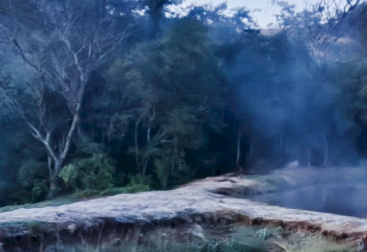Geada cobre o Oeste do Paraná e Novo Três Passos registra 0 °C ao amanhecer