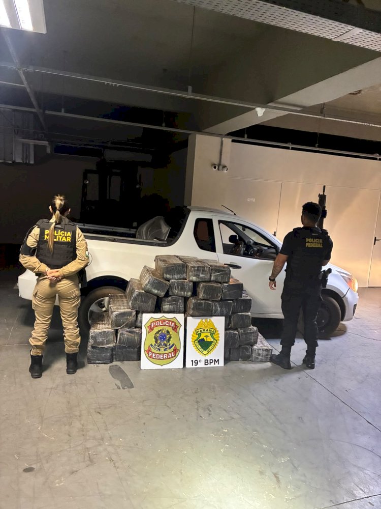 Polícia Militar e Polícia Federal apreendem meia tonelada de maconha em estrada rural de Guaíra
