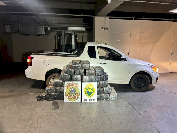 Polícia Militar e Polícia Federal apreendem meia tonelada de maconha em estrada rural de Guaíra