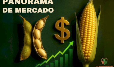 Panorama do Mercado de Soja e Milho para 25/07/2025