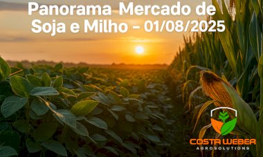 Panorama Mercado de Soja e Milho – 01/08/2025