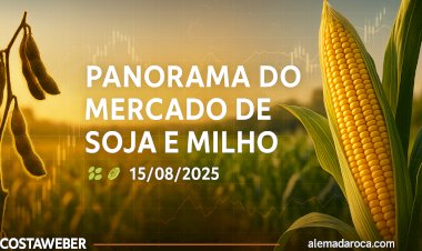 PANORAMA DO MERCADO DE SOJA E MILHO PARA 15/08/2025