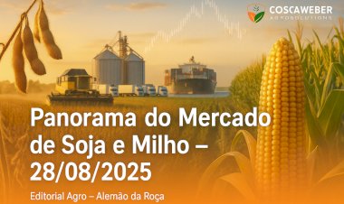 Panorama do Mercado de Soja e Milho 28/08/2025