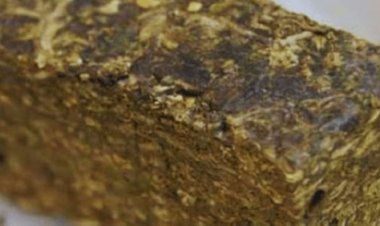 Polícia Militar apreende quase 1,7 kg de maconha em Mercedes