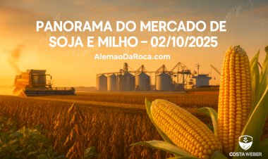 PANORAMA DO MERCADO DE SOJA E MILHO EM 02/10/2025