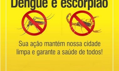 Nova Santa Rosa reforça cuidados contra escorpiões e dengue durante o período de temperaturas elevadas