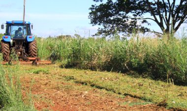 Prefeitura de Nova Santa Rosa intensifica limpeza de terrenos públicos durante o verão  Subtítulo: