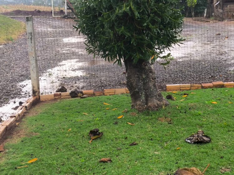 Previsão se confirma e prevê mais chuva para  domingo