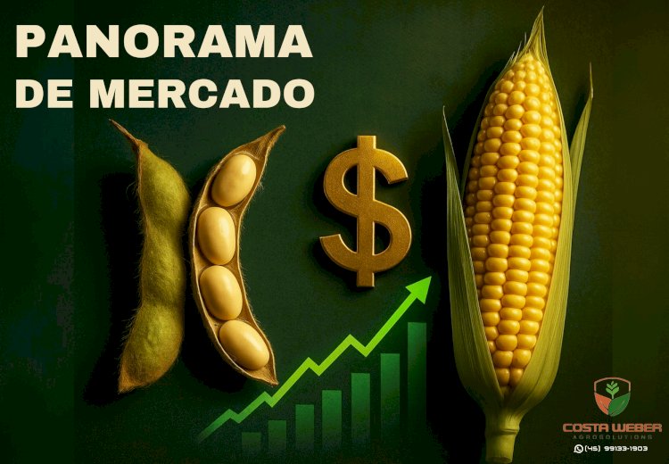 Panorama do Mercado de Soja e Milho para 25/07/2025