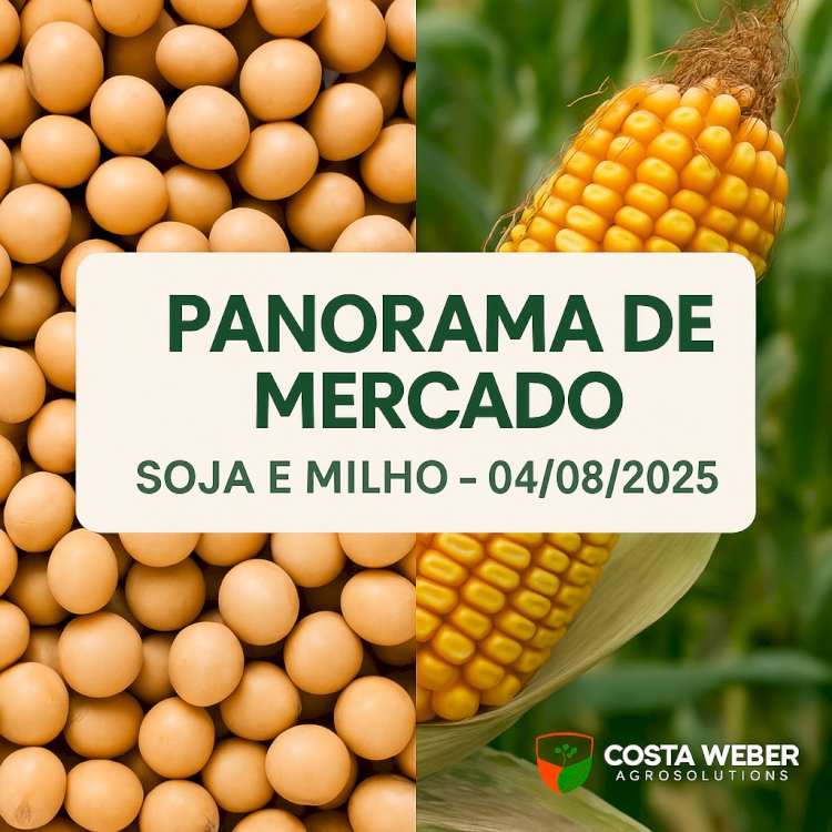 Panorama do Mercado de Soja e Milho para 04/08/2025