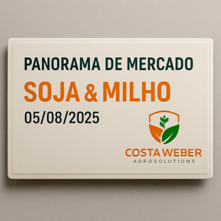 Panorama do Mercado de Milho e Soja 05/08/2025