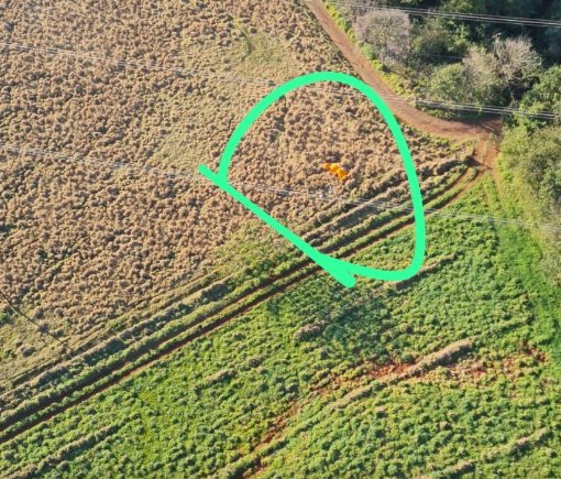 Atualizando: Empresário de Medianeira que morreu em acidente de paramotor  era policial Civil