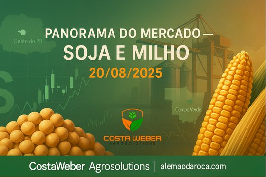 PANORAMA DE MERCADO - SOJA E MILHO 20/08/2025
