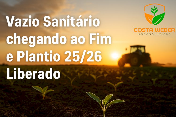 Vazio sanitário chega ao fim e abre a temporada de plantio da safra 2025/26