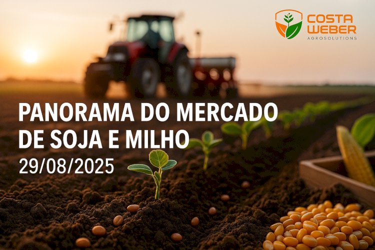 Panorama do Mercado de Milho e Soja 29/08/2025
