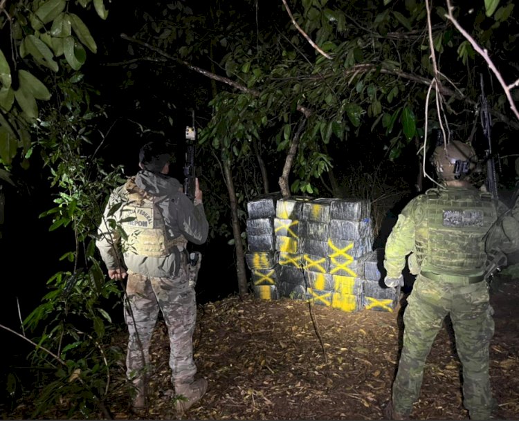 BPFRON, PF e PC apreendem quase duas toneladas de maconha em operações  na região