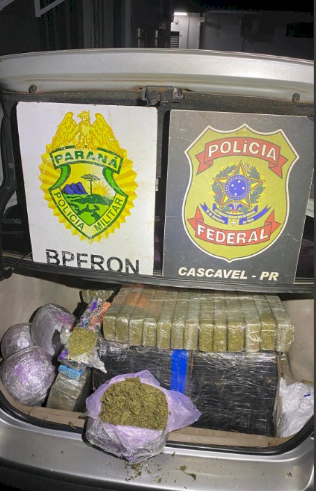 BPFRON apreende drogas em duas ações no Sudoeste e Oeste do Paraná
