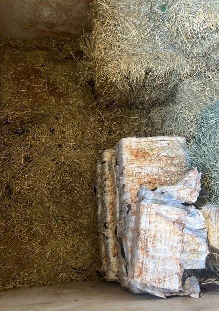 Atualizado: Homem é preso e mais de 1,5 tonelada de drogas são apreendidas em chácara de Nova Santa Rosa