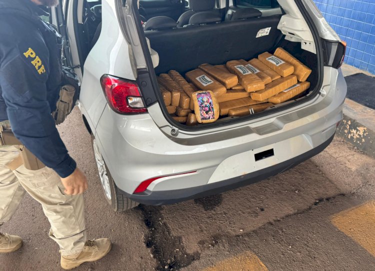 PRF apreende mais de 160 quilos de maconha que seriam entregues em Porto Alegre