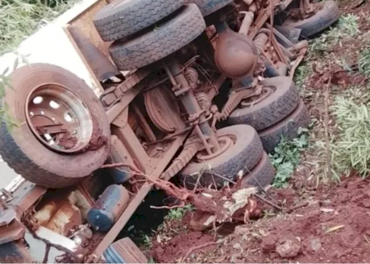 Caminhão de ração tomba na PR-364 em Palotina