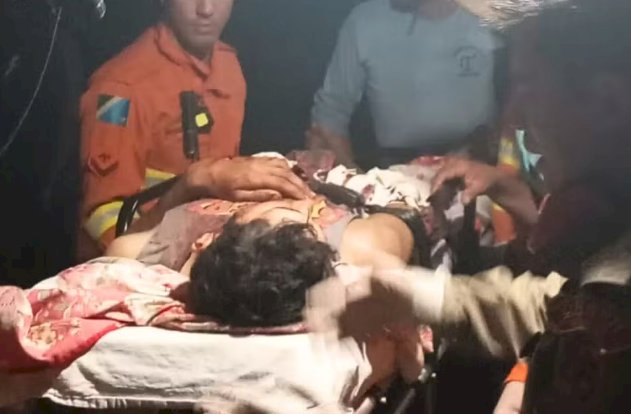 NOVO ATAQUE DE ONÇA-PINTADA É REGISTRADO NO PANTANAL SUL  MATO GROSENSSE