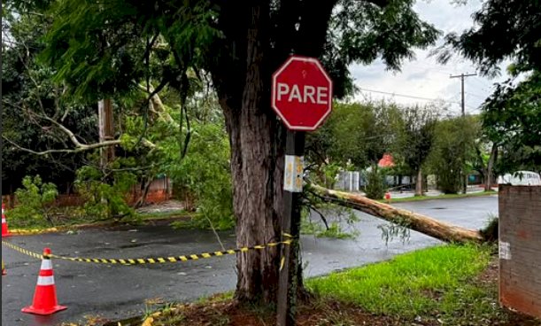 TEMPORAL PROVOCA ESTRAGOS E DEIXA CIDADES DO OESTE DO PARANÁ SEM ENERGIA ELÉTRICA