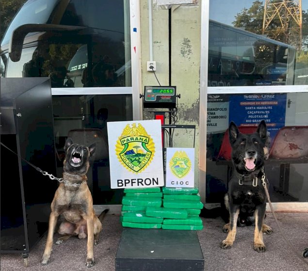 BPFRON realiza  desde o início da semana a  Operação Integrada “Scutum Limes” na fronteira do Paraná