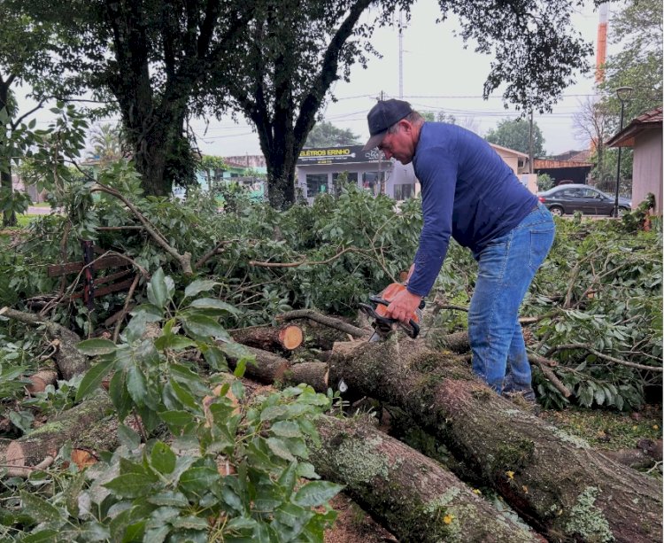 Após temporal, Prefeitura de Mercedes intensifica limpeza e remoção de árvores