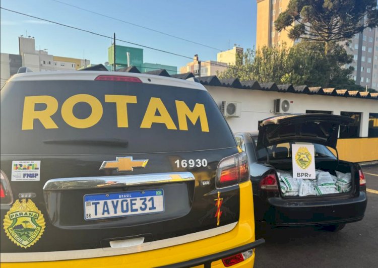 ROTAM apreende 150 kg de agrotóxicos contrabandeados e prende motorista na BR-163