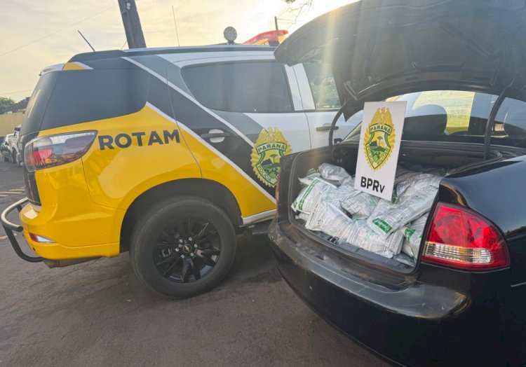 ROTAM apreende 150 kg de agrotóxicos contrabandeados e prende motorista na BR-163