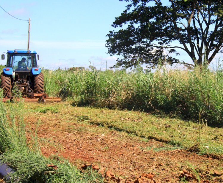 Prefeitura de Nova Santa Rosa intensifica limpeza de terrenos públicos durante o verão  Subtítulo: